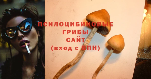 синтетический гашиш Алексеевка
