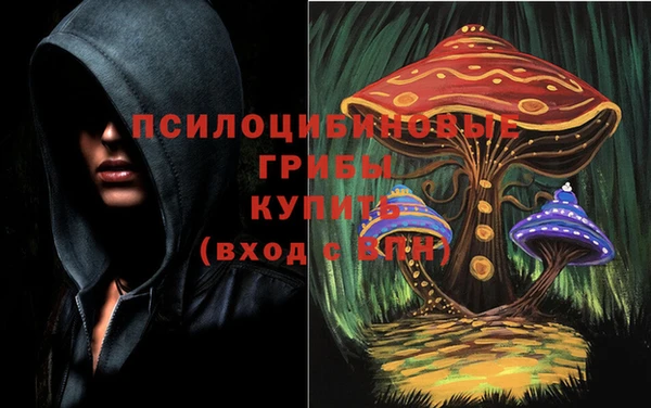 синтетический гашиш Алексеевка