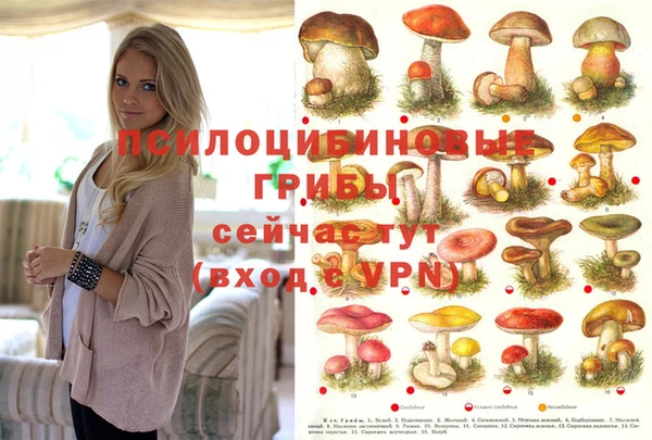 а пвп мука Алзамай