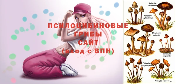 а пвп мука Алзамай